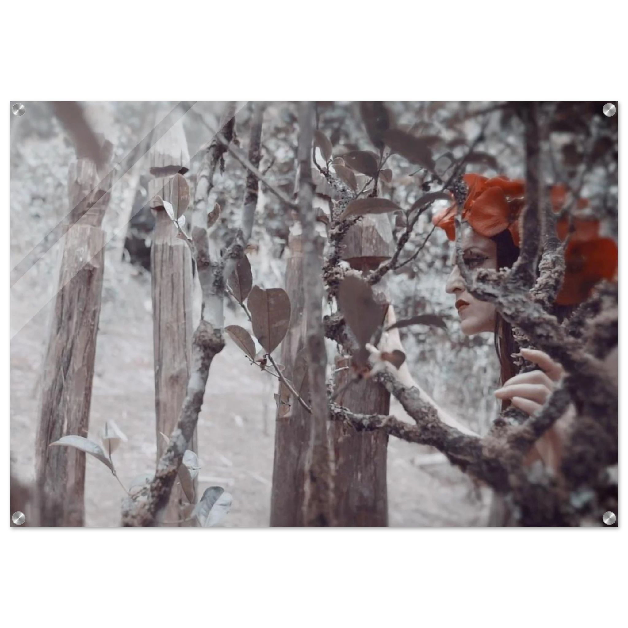 093f0a87-f450-4b6e-a1cb-7eeb3c7cd9fd