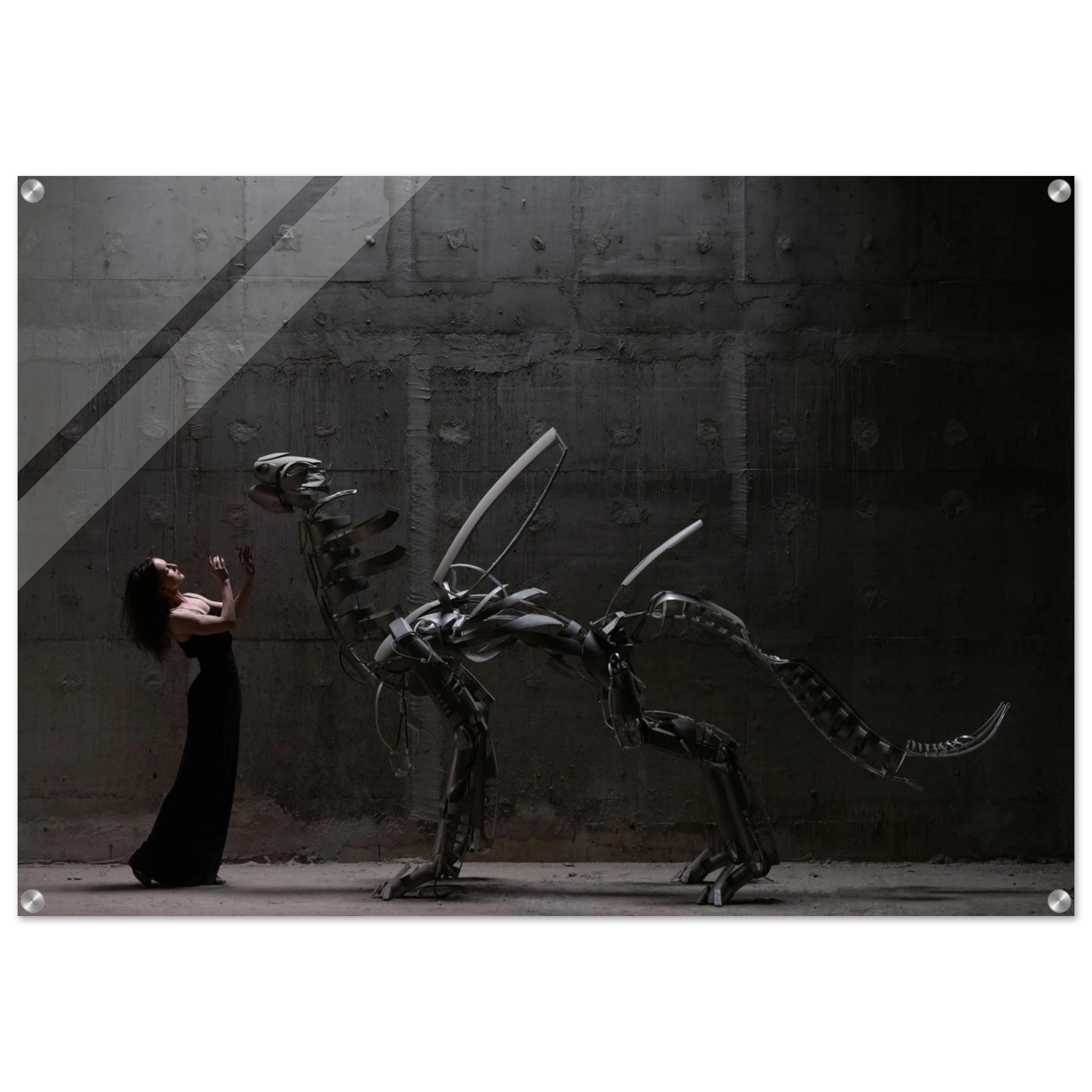 0d85ea6a-f823-4221-b662-30f6dd71d8c2