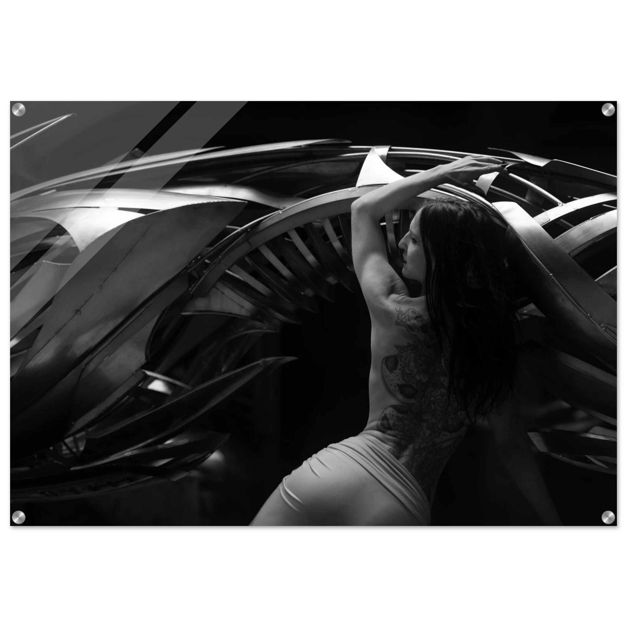 53ec1c1d-d99f-4cb2-969b-49f72ac22381