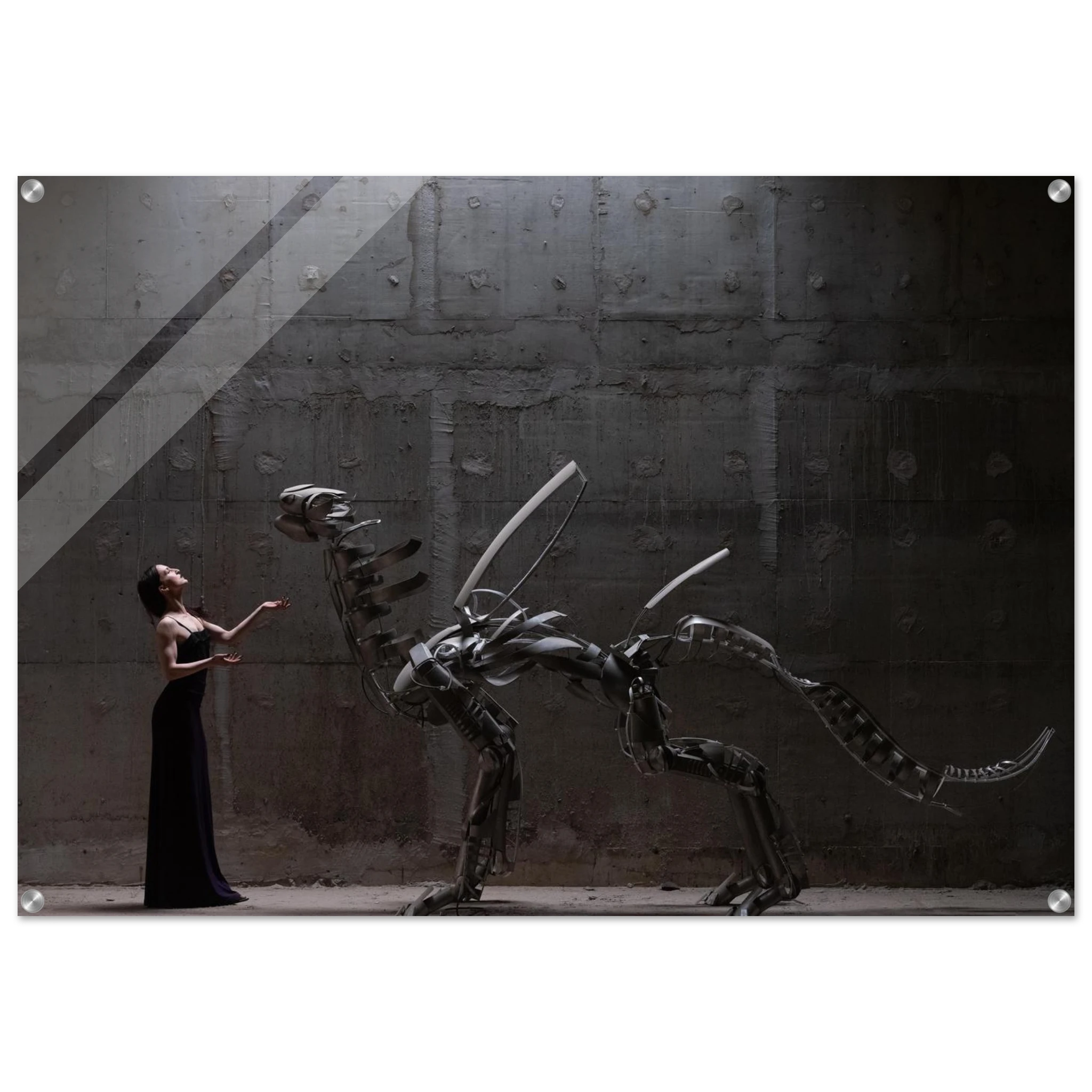 69b4d6c9-68c2-4fb4-b540-70fbd7188fc2