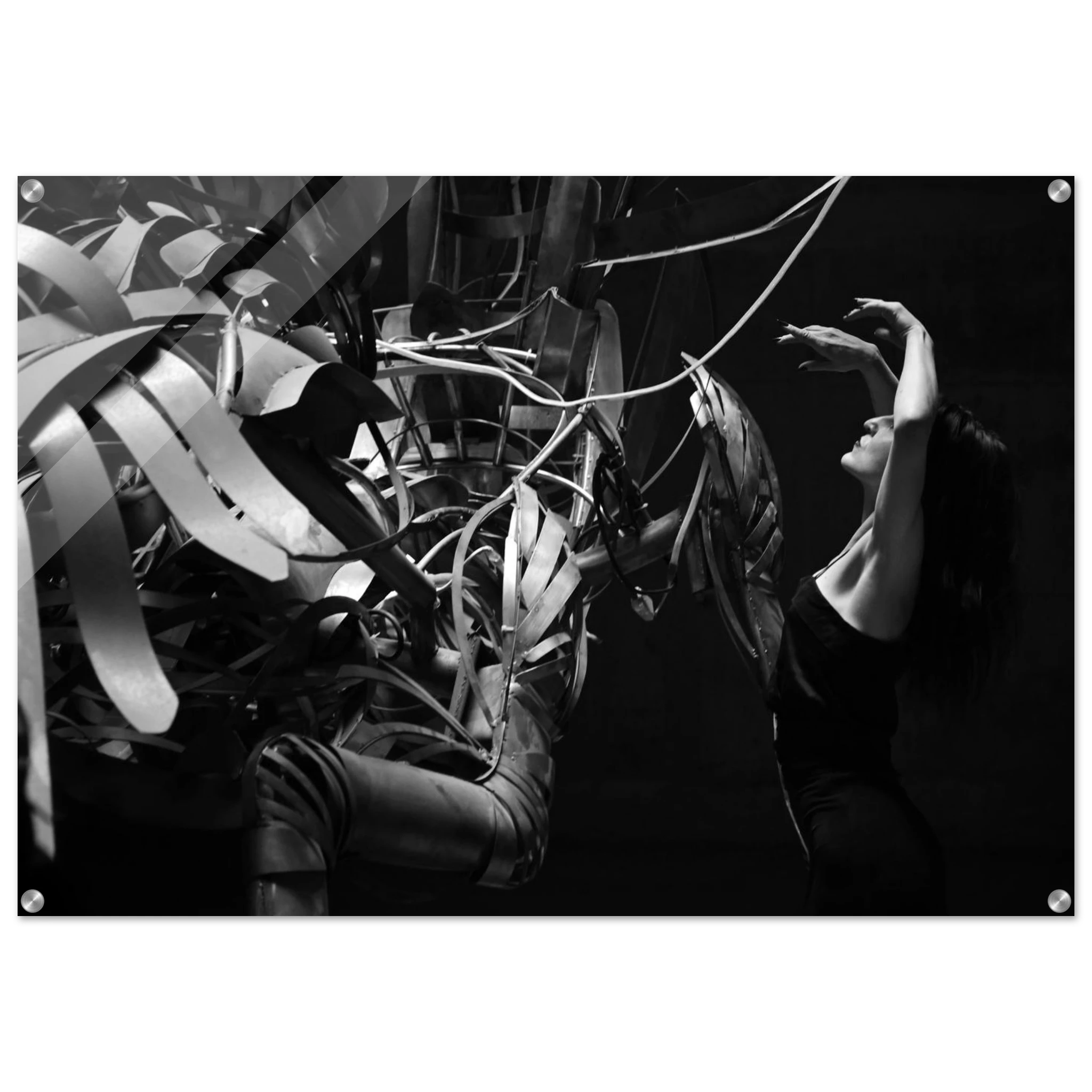 80296727-efe7-4675-9cfb-3f2633fd82eb