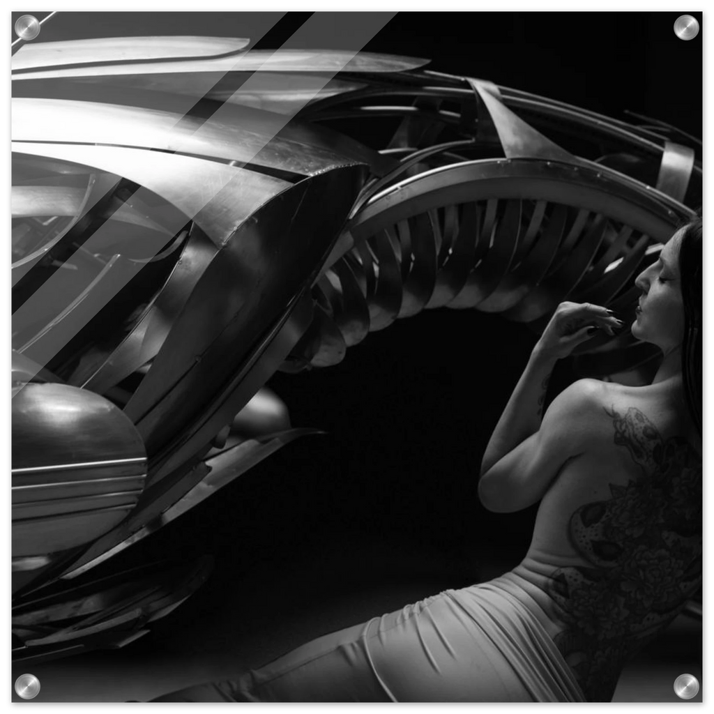 b32d083b-115a-479a-93b4-8cd406f67e18