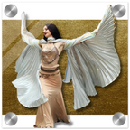 dba4221c-d23c-4b1b-aca5-303b2d6fb23b